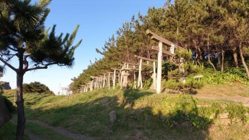 正観音の鳥居